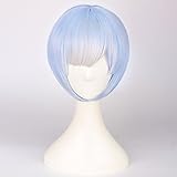 SaiDeng Wigs for Women Straight Short Wig for Cosplay Party Re Life in a Different World from Zero Rem Blue