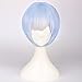 SaiDeng Wigs for Women Straight Short Wig for Cosplay Party Re Life in a Different World from Zero Rem Blue