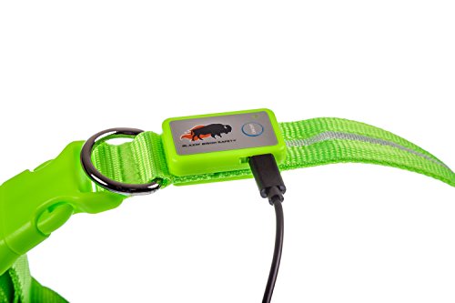 Blazin' Safety LED Dog Collar - USB Rechargeable with Water Resistant Flashing Light, Medium, Green