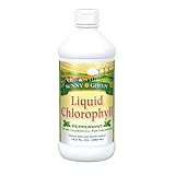 Sunny Green Liquid Chlorophyll Peppermint | Naturally Occurring Trace Vitamins & Minerals for Healthy Bowels, Kidneys & Liver Support | 16.2-Ounce