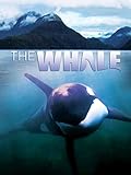 The Whale