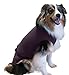 SurgiSnuggly Veterinary Invented Dog Surgical Recovery Suit for Female Spay or Male Dogs Neuters,Cone Alternative, Original Dog Onesie Bodysuit for After Surgery Small, Medium, Large Dogs Plum M