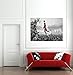 MICHAEL JORDAN NBA SLAM DUNK HUGE GIANT PICTURE POSTER ART JM072