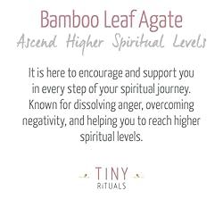 Tiny Rituals BAMBOO LEAF AGATE ENERGY BRACELET