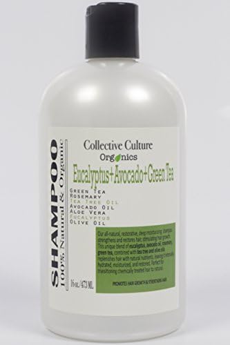 Eucalyptus + Avocado + Green Tea Shampoo from Collective Culture Organics Naturally Hydrates &amp; Restores Curly Hair, Gentle, Sulfate Free, Argan Oil &amp; Potent Natural Ingredients