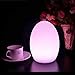 LED Mood Ball Light,WONFAST Rechargeable LED Bedside Table Lamp,Night Light with 16 Color Change and 4 Flash Modes,Suits for Outdoor Indoor Decoration (14x19cm-Egg)