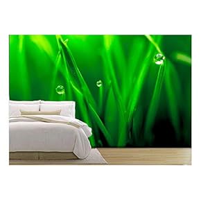 Macro Closeup of Fresh Green with Dew Droplets of Water - Removable Wall Mural | Self-Adhesive Large Wallpaper - 66x96 inches