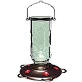 More Birds Hummingbird Feeder, Glass Hummingbird Feeders, 5 Feeding Stations, 20-Ounce Nectar Capacity, Vintage Antique Bottle