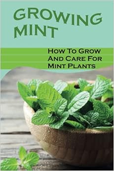 Growing Mint in Containers