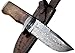 REG 16 C-FR Handmade Damascus Steel 11.00 Inches Bowie Knife - Exotic Wood Handle
