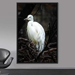 signwin Framed Canvas Wall Art Single Bird Birds...