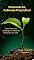 Livro Espiritualidade: Plantando Fé, Colhendo Propósitos!: Como viver com confiança no Plano de Deus para sua vida. (Autoajuda , Espiritualidade e Fé para ser mais que vencedor!)