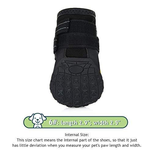 petacc dog boots