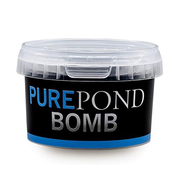 Evolution Aqua Pure Pond Bomb – for Crystal Clear Healthy Water, Treats up to 20,000 litres