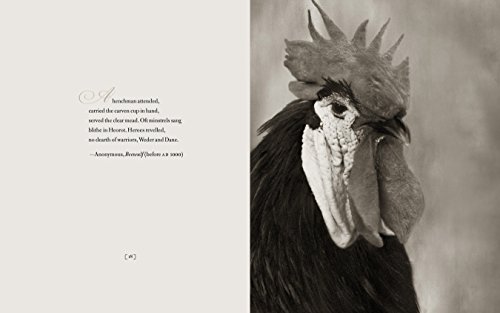 Literary Chickens
