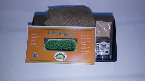 Hydroponic Sprout Growing Kit – 3 Part Salad Mix (1 Standard Kit) NO NEED TO WATER DAILY