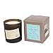 Paddywax Library Collection Leo Tolstoy Scented Soy Wax Candle, 6.5-Ounce, Black Plum, Persimmon & Oakmoss