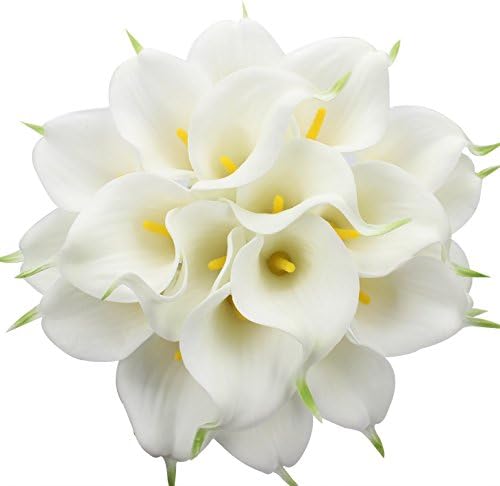 Click to Calla Lily