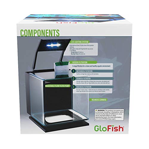GloFish Betta Aquarium Kit - Image 2