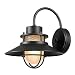 Globe Electric Liam 1-Light Outdoor Wall Sconce, Matte Black, Frosted White Glass Shade 44233