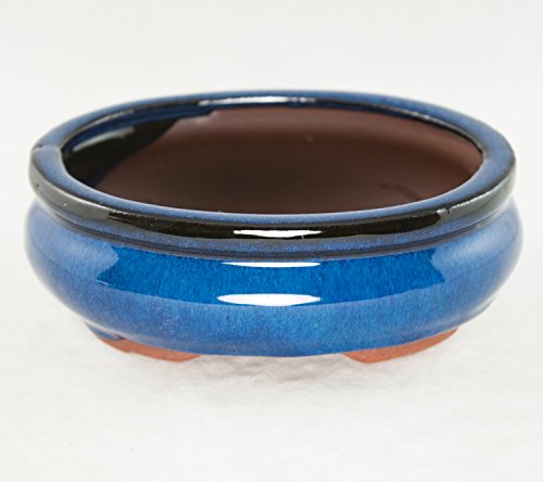 Oval Mame Shohin Bonsai / Cactus & Succulent Pot 6"x 5"x 2" - Dark Blue Glazed