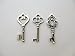 Salome Idea Skeleton Key Set in Antique Silver (30 Keys) 3 Different Styles - Vintage Style Key Replicas (Small Size, Silver Color)