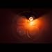 Amber 4x Light Bulb 1157 BAY 15D 21W 5W Turn Signal Blinker Dual Filament Lamp