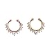 Honbay 2 Piece Clip on Jewelry Creative Fake Septum Clicker Nose Ring