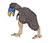 Safari Ltd  Wild Safari Gastornis