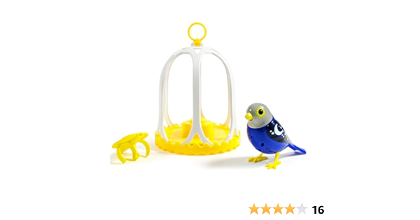 digibirds amazon