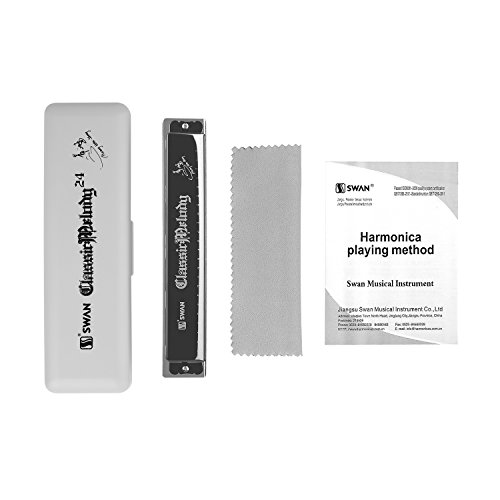 Harmonica 24 Holes Key of C with Case for Professional Player Beginner