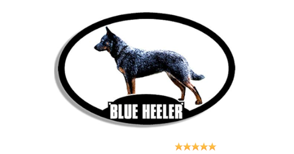 acd heeler