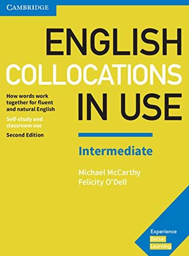 English Idioms in Use Advanced Book with Answers: Vocabulary