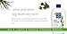 Kiss My Face Olive & Aloe Moisturizing Body Lotion, 16-Ounce Bottles (pack of 3)