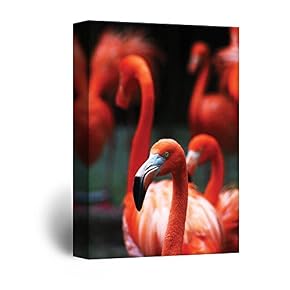 Red Flamingoes Premium