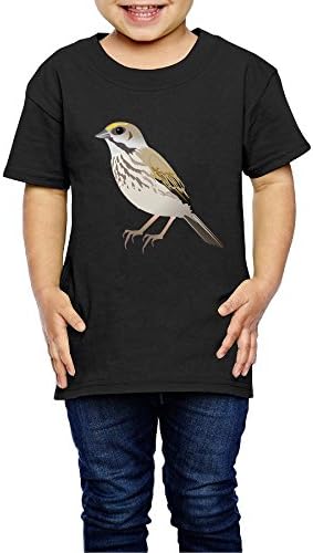 Hgglvne Little Sparrow Boys Short Sleeve T-Shirt, Sport Graphic Print Tee Shirts Top for Toddler