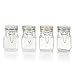 Pfaltzgraff Preserving Jar with Wire Clamp Closure Set, 3-Ounce, Assorted, 4-Count