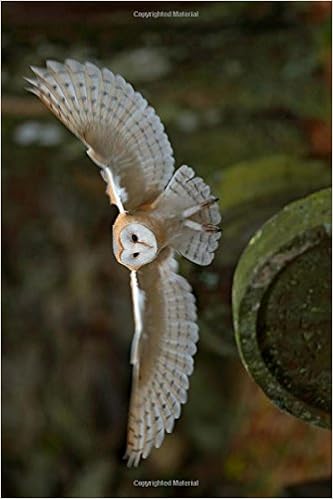 Barn Owl Landing On A Headstone Journal 150 Page Lined Notebook