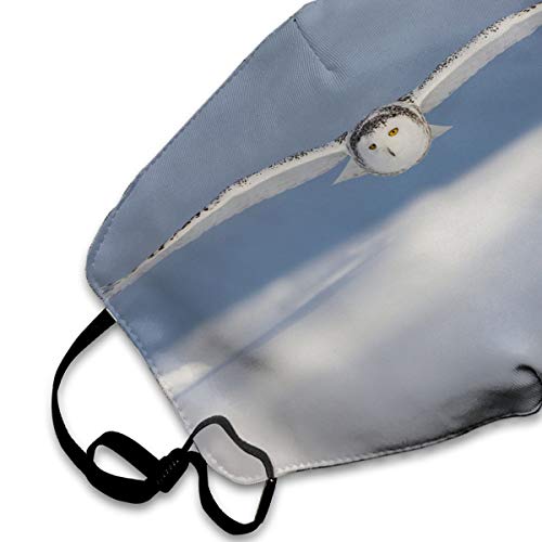 Sam-Uncle Anti Dust Face Mouth Cover Mask Snowy Owl Anti Pollution Breath Healthy Mask