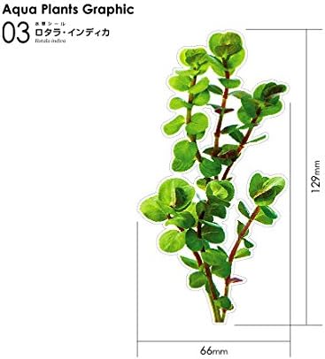 Amazon 水草シール3枚セット 03 ロタラ インディカ みずものコム 人工水草 通販