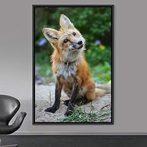 signwin Framed Canvas Wall Art Red Fox Animals...