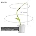 Kids Desk Lamp USB Rechargeable Table Light LED for Children Study Reading Bedside Lamp with Touch Control and Pencil Holder (Fresh Green)