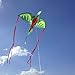 Melissa & Doug Winged Dragon Shaped Kite (62-Inch Wingspan)