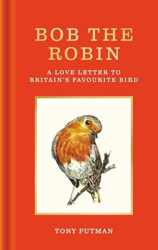 All About Robins: Rubin, Alan: 9798692787057: Amazon.com: Books