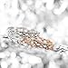 SOMEN TUNGSTEN 925 Sterling Silver Celtic Knot Eternity Band Ring Engagement Wedding Band 4mm Size 4-11