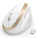 Wireless Vertical Mouse, Jelly Comb Wireless Mouse 2.4G High Precision Ergonomic Optical Mice 【 for Small Hands 】 (White and Gold)