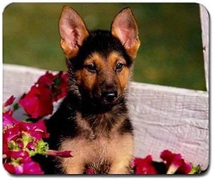Amazon かわいいジャーマンシェパードの子犬マウスパッドマウスパッド素晴らしい Madisonexpedition マウスパッド 通販