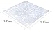 Surpahs Pebble Vinyl Non-Slip Bath and Shower Mat 2 Pcs Combo (Clear)