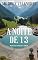 Livro A Noite de 13