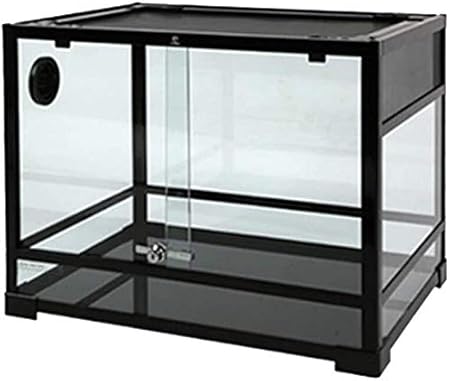 amazon reptile store